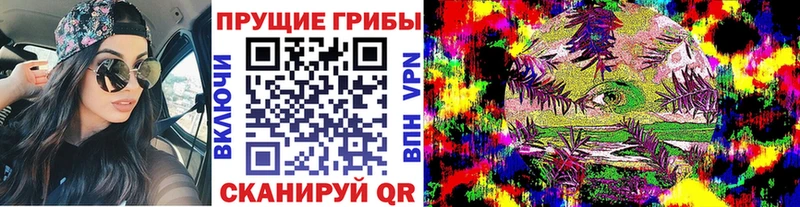 Галлюциногенные грибы Psilocybine cubensis  МЕГА ссылка  Жирновск 
